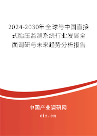 2024-2030年全球與中國直接式胎壓監測系統行業發展全面調研與未來趨勢分析報告