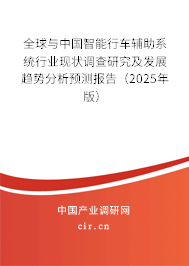 全球與中國智能行車輔助系統行業現狀調查研究及發展趨勢分析預測報告（2025年版）
