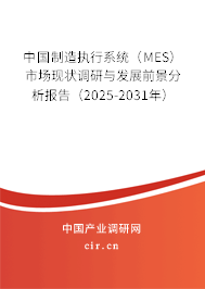 中國制造執行系統（MES）市場現狀調研與發展前景分析報告（2025-2031年）