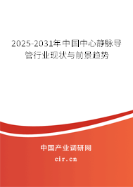 2025-2031年中國中心靜脈導(dǎo)管行業(yè)現(xiàn)狀與前景趨勢