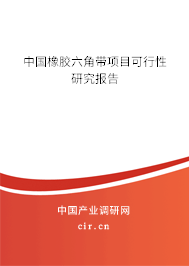 中國橡膠六角帶項目可行性研究報告