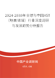 2024-2030年全球與中國AST（地面儲罐）行業深度調研與發展趨勢分析報告