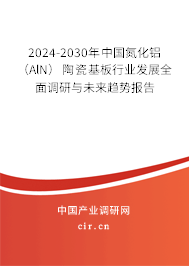 2024-2030年中國氮化鋁（AlN）陶瓷基板行業發展全面調研與未來趨勢報告