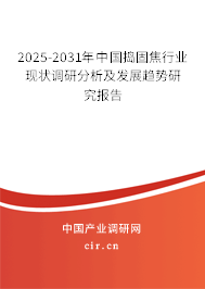 2025-2031年中國搗固焦行業現狀調研分析及發展趨勢研究報告