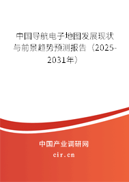 中國導航電子地圖發展現狀與前景趨勢預測報告（2025-2031年）