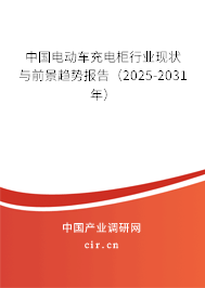 中國電動車充電柜行業現狀與前景趨勢報告（2025-2031年）
