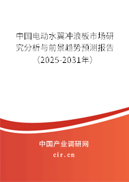 中國電動水翼沖浪板市場研究分析與前景趨勢預(yù)測報告（2025-2031年）