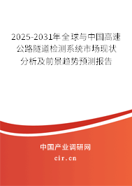 2025-2031年全球與中國高速公路隧道檢測系統市場現狀分析及前景趨勢預測報告