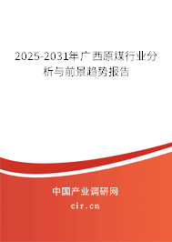 2025-2031年廣西原煤行業分析與前景趨勢報告