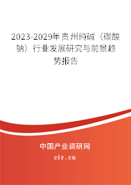 2023-2029年貴州純堿（碳酸鈉）行業發展研究與前景趨勢報告