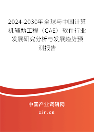 2024-2030年全球與中國計算機輔助工程（CAE）軟件行業發展研究分析與發展趨勢預測報告