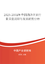 2025-2031年中國酒店開關行業深度調研與發展趨勢分析