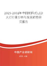 2025-2031年中國矩陣式LED大燈行業分析與發展趨勢研究報告