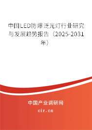 中國LED防爆泛光燈行業研究與發展趨勢報告（2025-2031年）