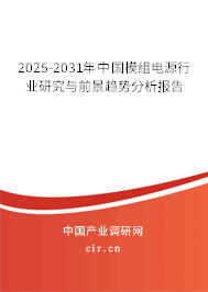 2025-2031年中國(guó)模組電源行業(yè)研究與前景趨勢(shì)分析報(bào)告