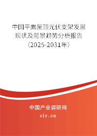 中國平面屋頂光伏支架發展現狀及前景趨勢分析報告（2025-2031年）