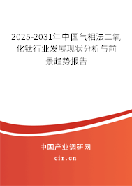2025-2031年中國氣相法二氧化鈦行業發展現狀分析與前景趨勢報告