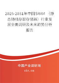 2025-2031年中國SRAM （靜態隨機存取存儲器）行業發展全面調研及未來趨勢分析報告