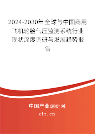2024-2030年全球與中國商用飛機(jī)輪胎氣壓監(jiān)測系統(tǒng)行業(yè)現(xiàn)狀深度調(diào)研與發(fā)展趨勢報(bào)告