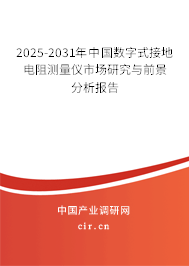 2025-2031年中國數字式接地電阻測量儀市場研究與前景分析報告