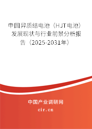 中國異質結電池（HJT電池）發展現狀與行業前景分析報告（2025-2031年）