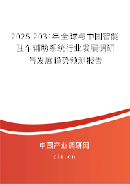 2025-2031年全球與中國智能駐車輔助系統行業發展調研與發展趨勢預測報告