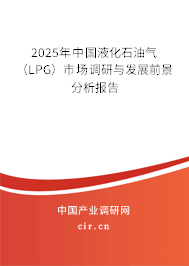2025年中國液化石油氣（LPG）市場調研與發展前景分析報告