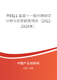 中國11-氨基十一酸市場研究分析與前景趨勢預(yù)測（2022-2028年）