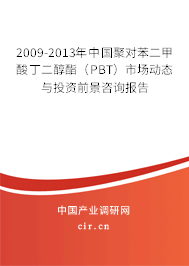 2009-2013年中國聚對苯二甲酸丁二醇酯（PBT）市場動態與投資前景咨詢報告