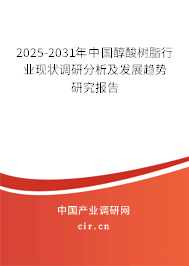 2025-2031年中國醇酸樹脂行業現狀調研分析及發展趨勢研究報告