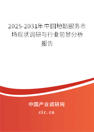 2025-2031年中國地勤服務(wù)市場現(xiàn)狀調(diào)研與行業(yè)前景分析報告