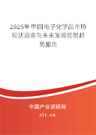 2025年中國電子化學(xué)品市場現(xiàn)狀調(diào)查與未來發(fā)展前景趨勢報(bào)告