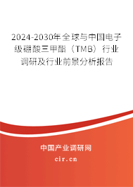 2024-2030年全球與中國電子級硼酸三甲酯（TMB）行業調研及行業前景分析報告