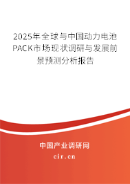 2025年全球與中國動力電池PACK市場現狀調研與發展前景預測分析報告