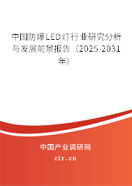 中國防爆LED燈行業研究分析與發展前景報告（2025-2031年）