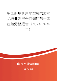 中國割草機用小型燃氣發動機行業發展全面調研與未來趨勢分析報告（2024-2030年）