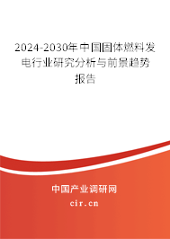 2024-2030年中國固體燃料發電行業研究分析與前景趨勢報告