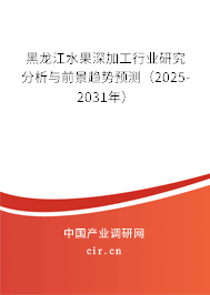 黑龍江水果深加工行業(yè)研究分析與前景趨勢預(yù)測（2025-2031年）