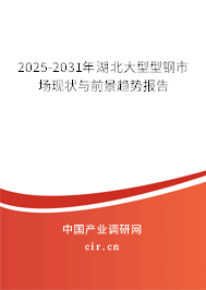 2025-2031年湖北大型型鋼市場現狀與前景趨勢報告
