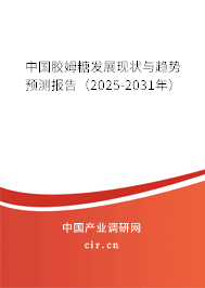 中國膠姆糖發展現狀與趨勢預測報告（2025-2031年）