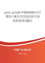 2025-2031年中國聚陰離子纖維素行業現狀深度調研與發展趨勢預測報告