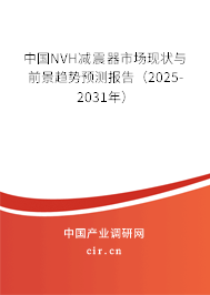 中國NVH減震器市場現狀與前景趨勢預測報告（2025-2031年）
