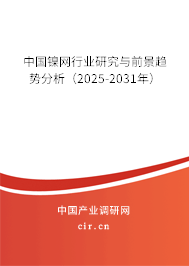 中國鎳網行業研究與前景趨勢分析（2025-2031年）