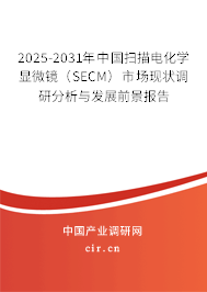 2025-2031年中國掃描電化學顯微鏡（SECM）市場現狀調研分析與發展前景報告
