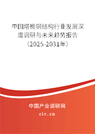 中國塔桅鋼結構行業發展深度調研與未來趨勢報告（2025-2031年）