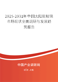 2025-2031年中國太陽能玻璃市場現狀全面調研與發展趨勢報告