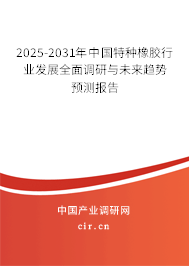 2025-2031年中國特種橡膠行業發展全面調研與未來趨勢預測報告
