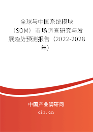 全球與中國系統(tǒng)模塊（SOM）市場調查研究與發(fā)展趨勢預測報告（2022-2028年）