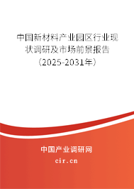 中國新材料產業園區行業現狀調研及市場前景報告（2025-2031年）