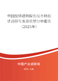 中國旋轉(zhuǎn)磁場探傷儀市場現(xiàn)狀調(diào)研與發(fā)展前景分析報告（2025年）